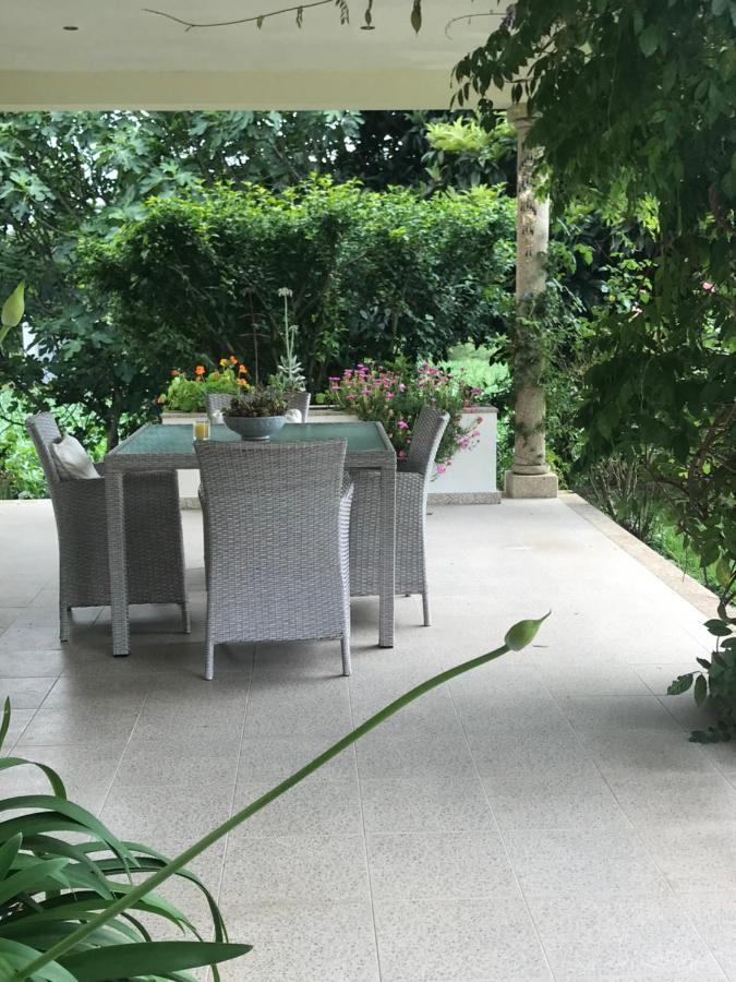 Camelias Bed and Breakfast Guimarães Exteriör bild